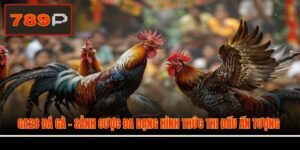 GA28 Đá Gà - Sảnh Cược Đa Dạng Hình Thức Thi Đấu Ấn Tượng