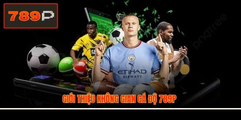 Giới thiệu không gian cá độ 789P